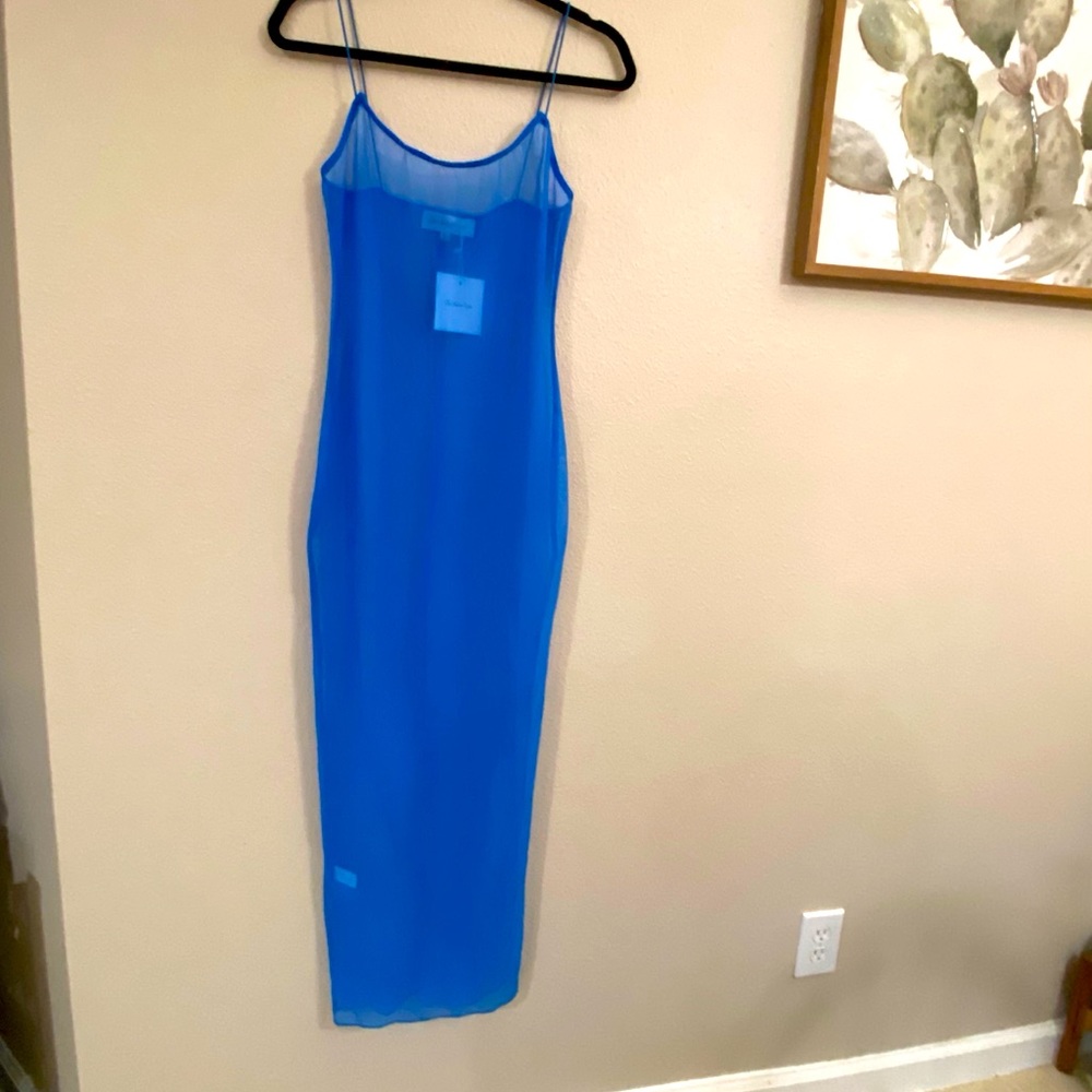 The Naked Tiger Sheer Dress